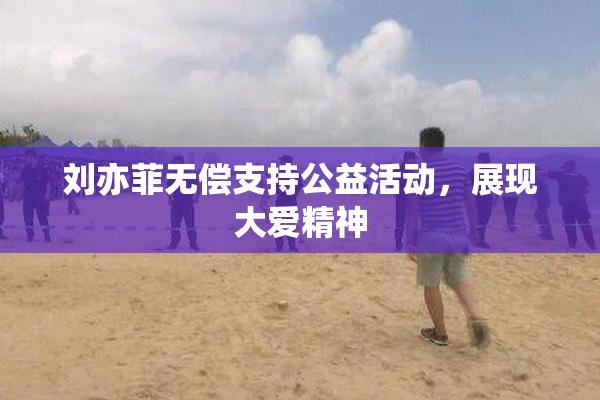 刘亦菲无偿支持公益活动，展现大爱精神