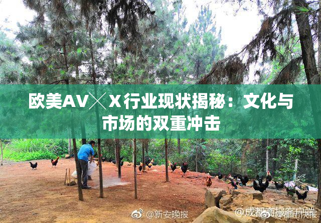 欧美AV╳Ⅹ行业现状揭秘：文化与市场的双重冲击