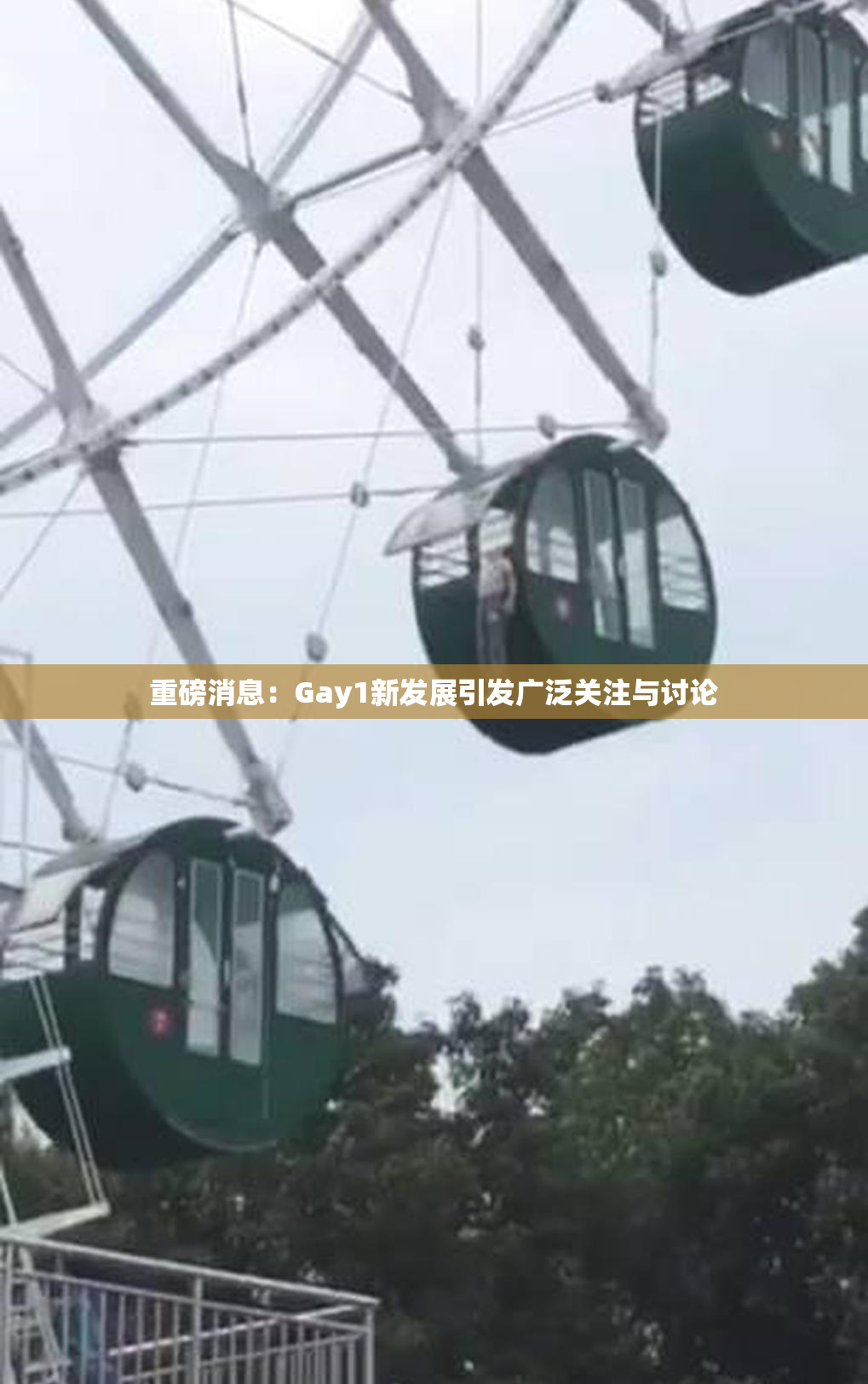 重磅消息：Gay1新发展引发广泛关注与讨论