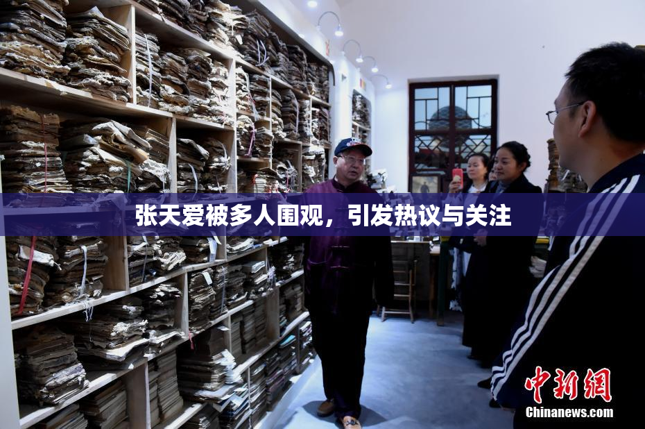 张天爱被多人围观，引发热议与关注