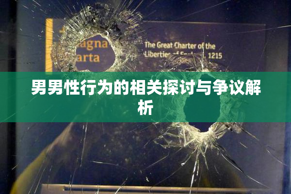 男男性行为的相关探讨与争议解析
