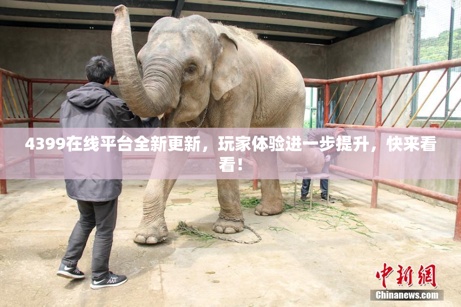 4399在线平台全新更新，玩家体验进一步提升，快来看看！