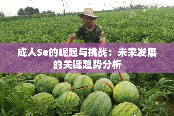 成人Se的崛起与挑战：未来发展的关键趋势分析