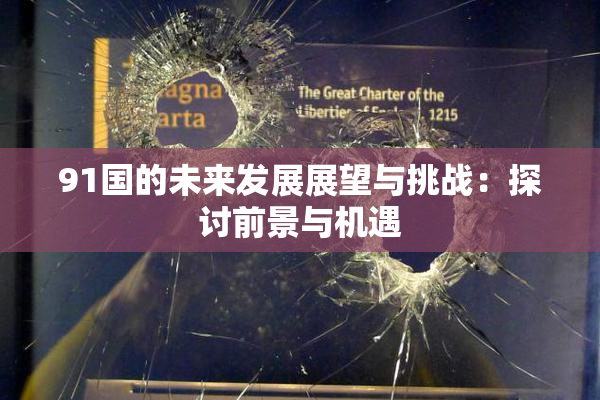 91国的未来发展展望与挑战：探讨前景与机遇