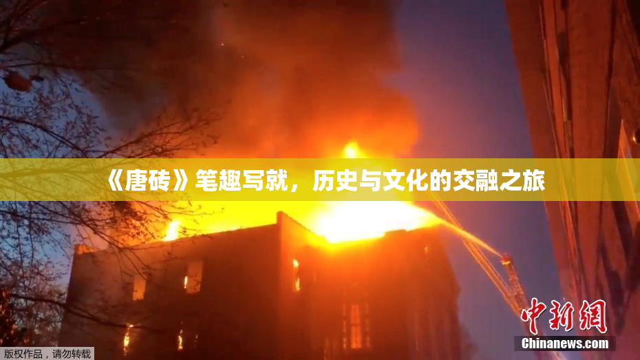 《唐砖》笔趣写就，历史与文化的交融之旅