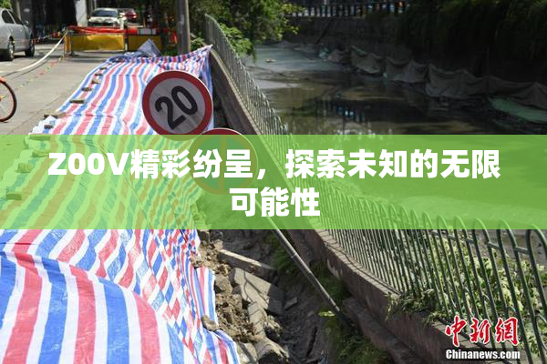 Z00V精彩纷呈，探索未知的无限可能性