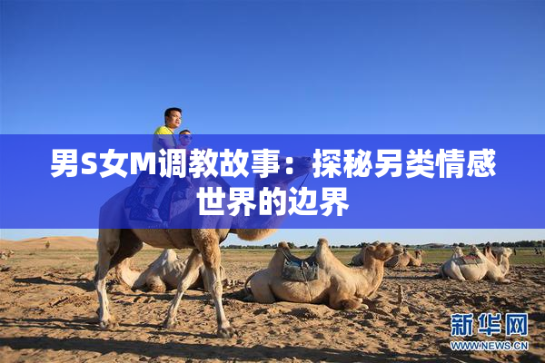 男S女M调教故事：探秘另类情感世界的边界