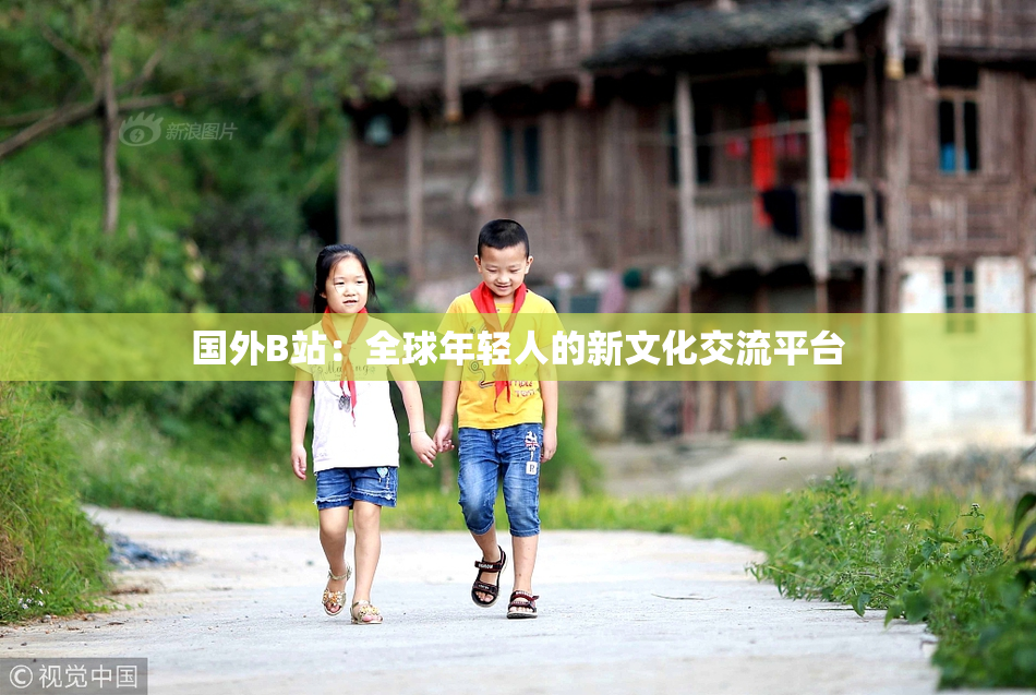 国外B站：全球年轻人的新文化交流平台