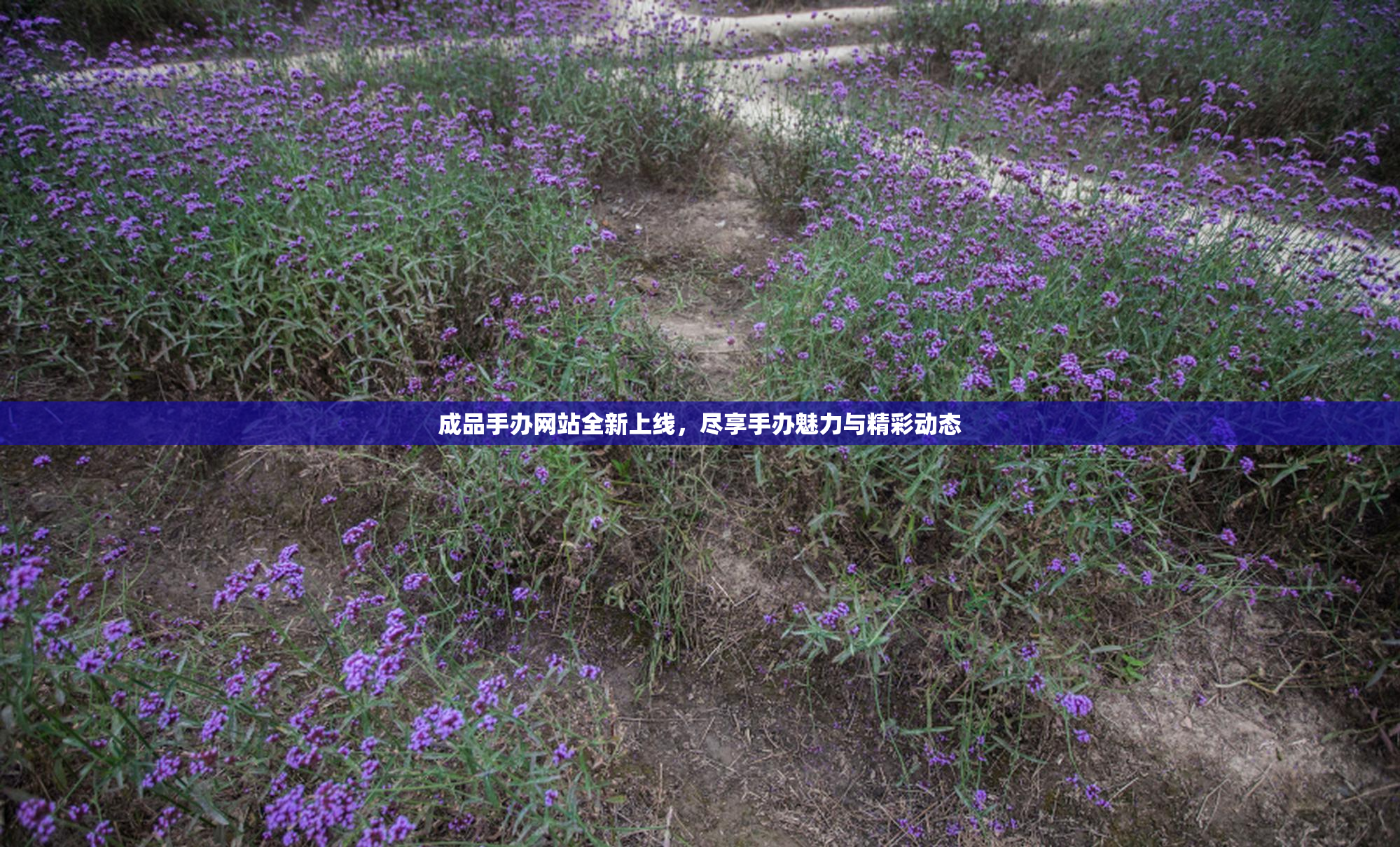 成品手办网站全新上线，尽享手办魅力与精彩动态