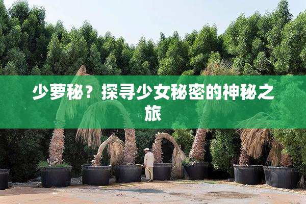 少萝秘？探寻少女秘密的神秘之旅