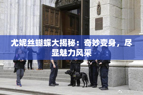 尤妮丝蝴蝶大揭秘：奇妙变身，尽显魅力风采