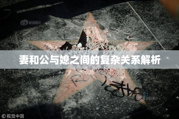 妻和公与媳之间的复杂关系解析