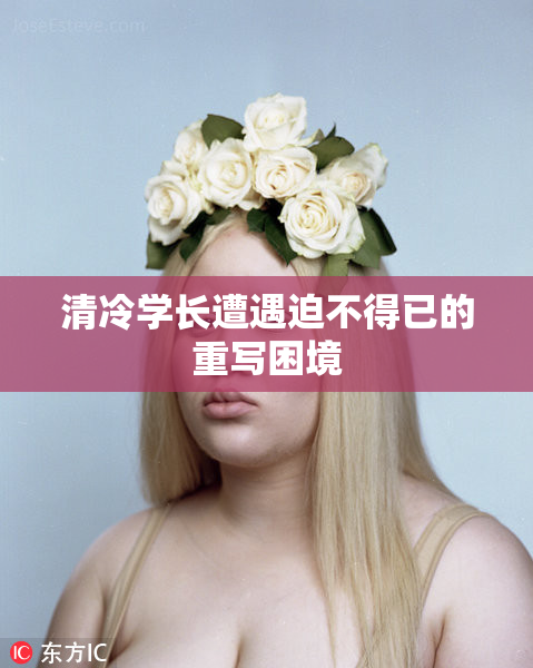 清冷学长遭遇迫不得已的重写困境