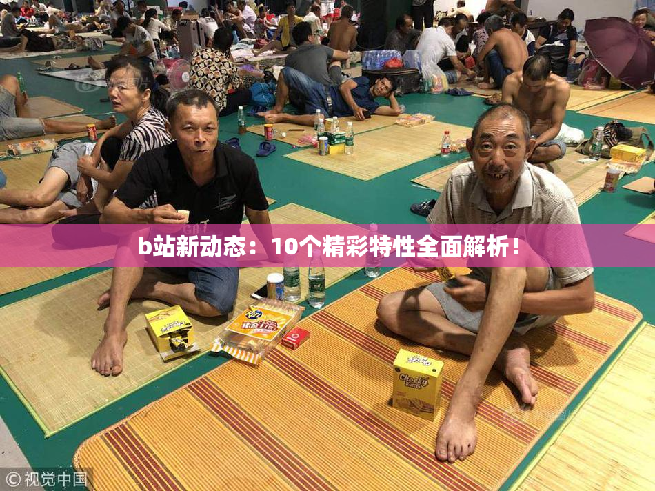 b站新动态：10个精彩特性全面解析！