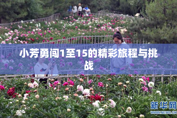 小芳勇闯1至15的精彩旅程与挑战