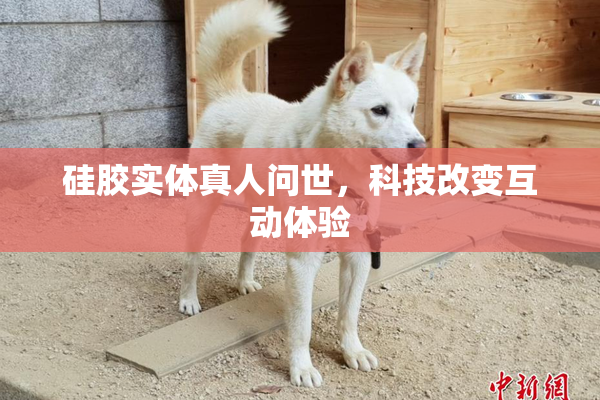 硅胶实体真人问世，科技改变互动体验