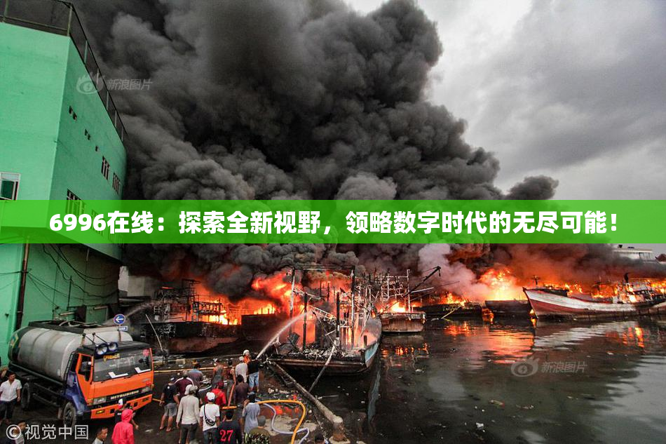 6996在线：探索全新视野，领略数字时代的无尽可能！