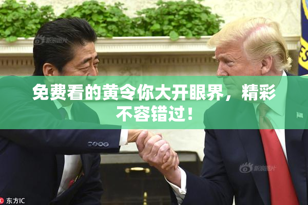 免费看的黄令你大开眼界，精彩不容错过！
