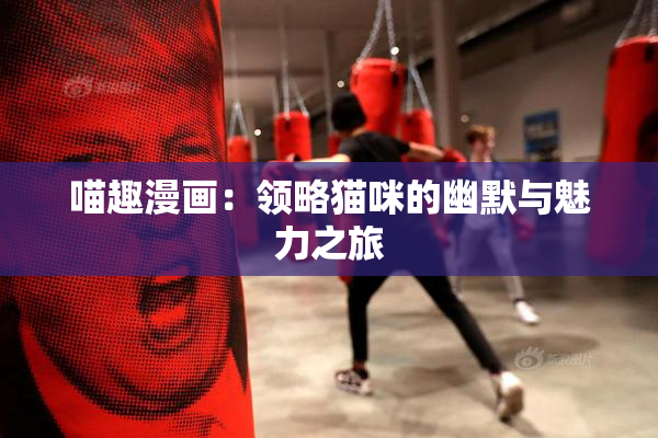 喵趣漫画：领略猫咪的幽默与魅力之旅