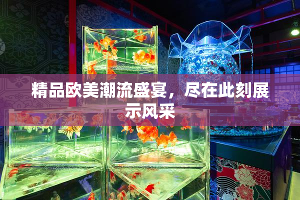 精品欧美潮流盛宴，尽在此刻展示风采