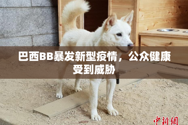 巴西BB暴发新型疫情，公众健康受到威胁