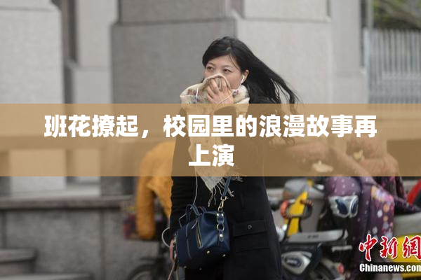 班花撩起，校园里的浪漫故事再上演
