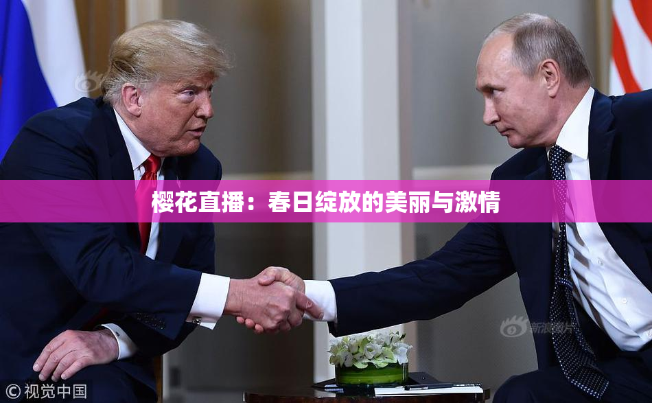 樱花直播：春日绽放的美丽与激情