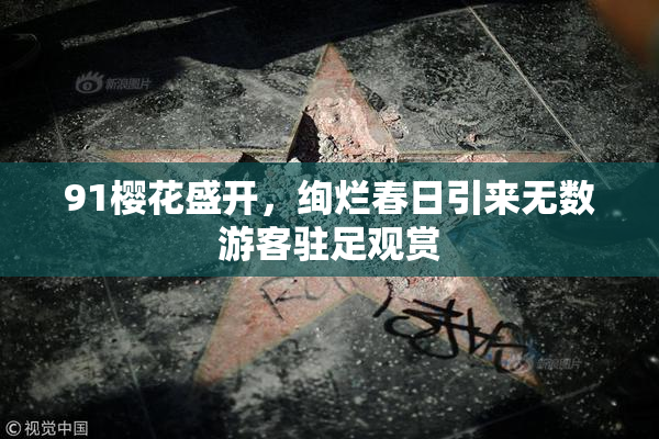 91樱花盛开，绚烂春日引来无数游客驻足观赏