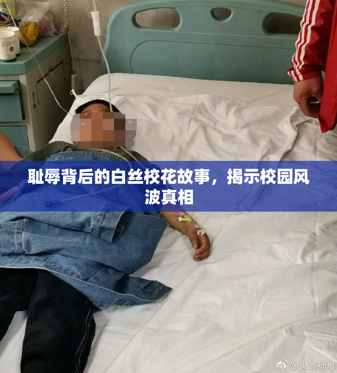 耻辱背后的白丝校花故事，揭示校园风波真相