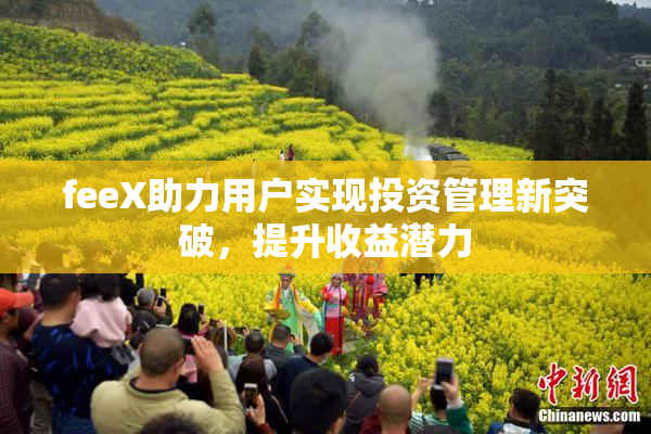 feeX助力用户实现投资管理新突破，提升收益潜力
