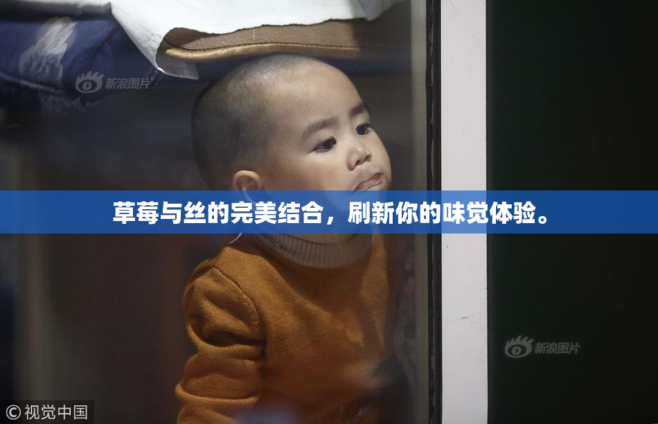 草莓与丝的完美结合，刷新你的味觉体验。