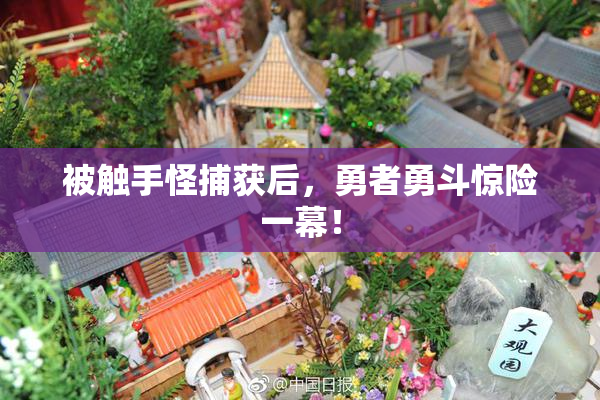 被触手怪捕获后，勇者勇斗惊险一幕！