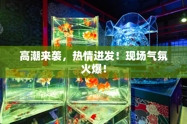 高潮来袭，热情迸发！现场气氛火爆！