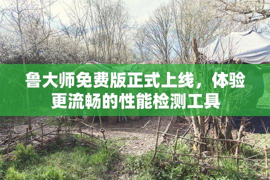 鲁大师免费版正式上线，体验更流畅的性能检测工具