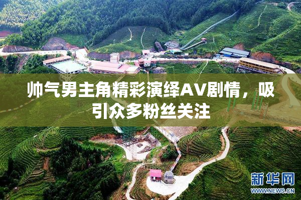 帅气男主角精彩演绎AV剧情，吸引众多粉丝关注