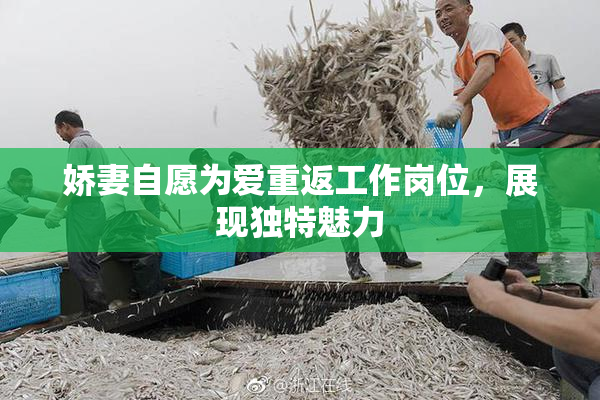 娇妻自愿为爱重返工作岗位，展现独特魅力