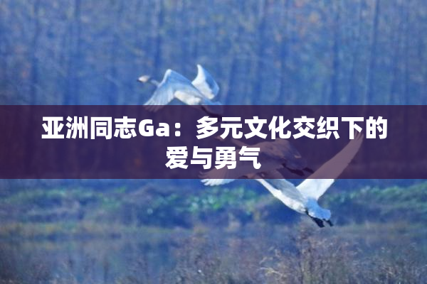 亚洲同志Ga：多元文化交织下的爱与勇气