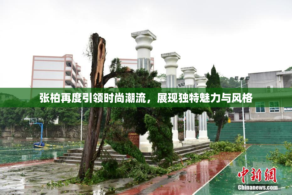 张柏再度引领时尚潮流，展现独特魅力与风格