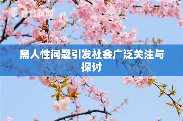 黑人性问题引发社会广泛关注与探讨