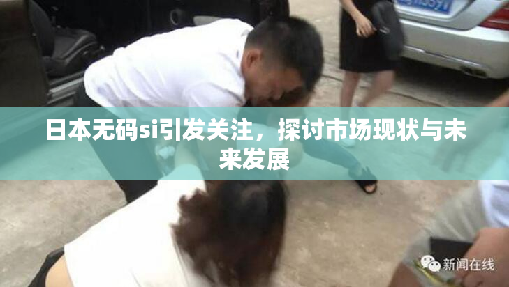 日本无码si引发关注，探讨市场现状与未来发展