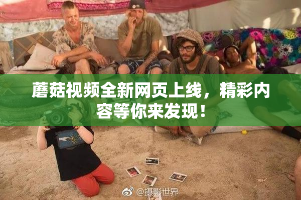 蘑菇视频全新网页上线，精彩内容等你来发现！
