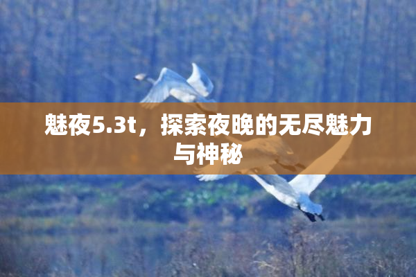 魅夜5.3t，探索夜晚的无尽魅力与神秘