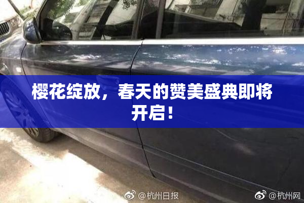 樱花绽放，春天的赞美盛典即将开启！
