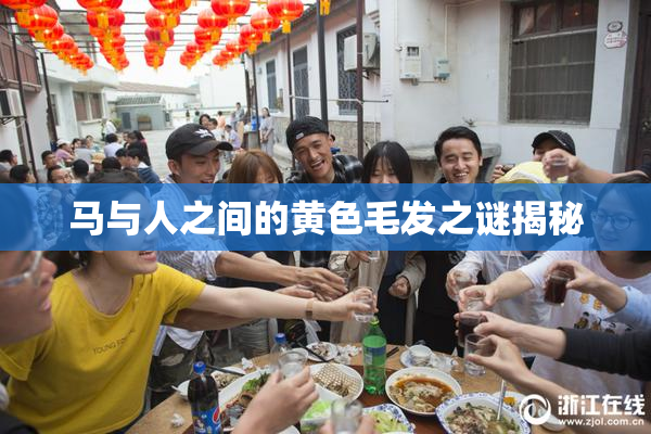 马与人之间的黄色毛发之谜揭秘