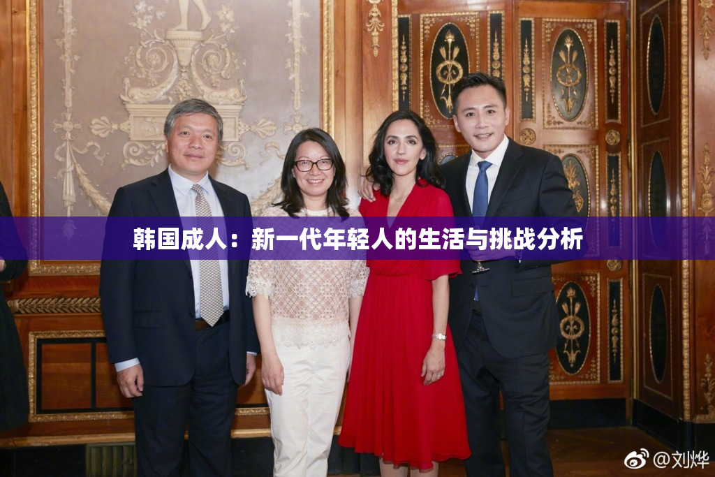 韩国成人：新一代年轻人的生活与挑战分析