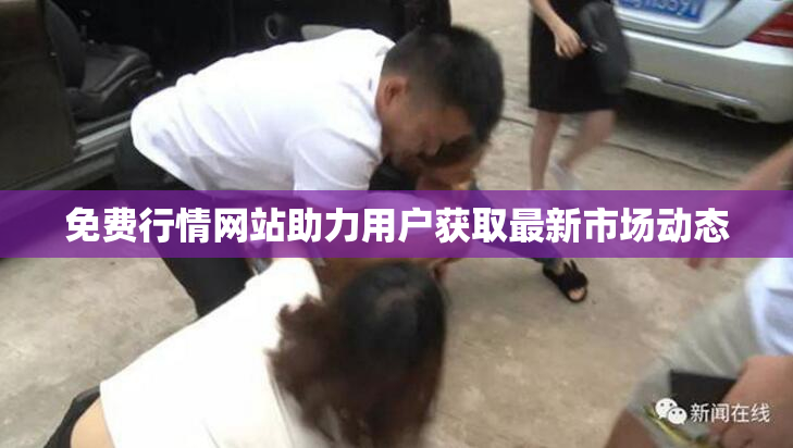 免费行情网站助力用户获取最新市场动态