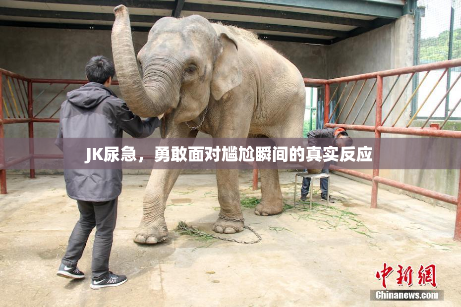 JK尿急，勇敢面对尴尬瞬间的真实反应