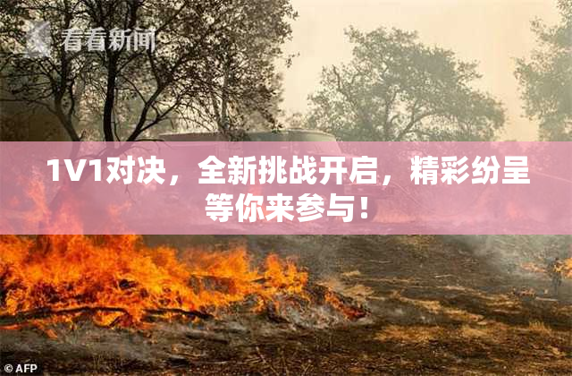 1V1对决，全新挑战开启，精彩纷呈等你来参与！