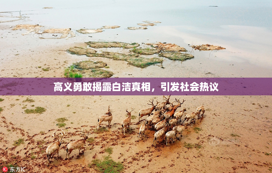 高义勇敢揭露白洁真相，引发社会热议