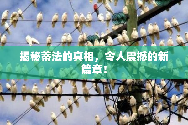 揭秘蒂法的真相，令人震撼的新篇章！